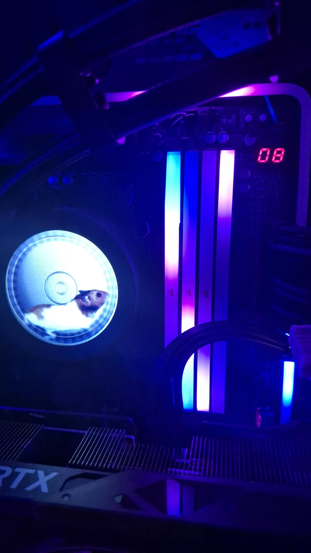 Build completa