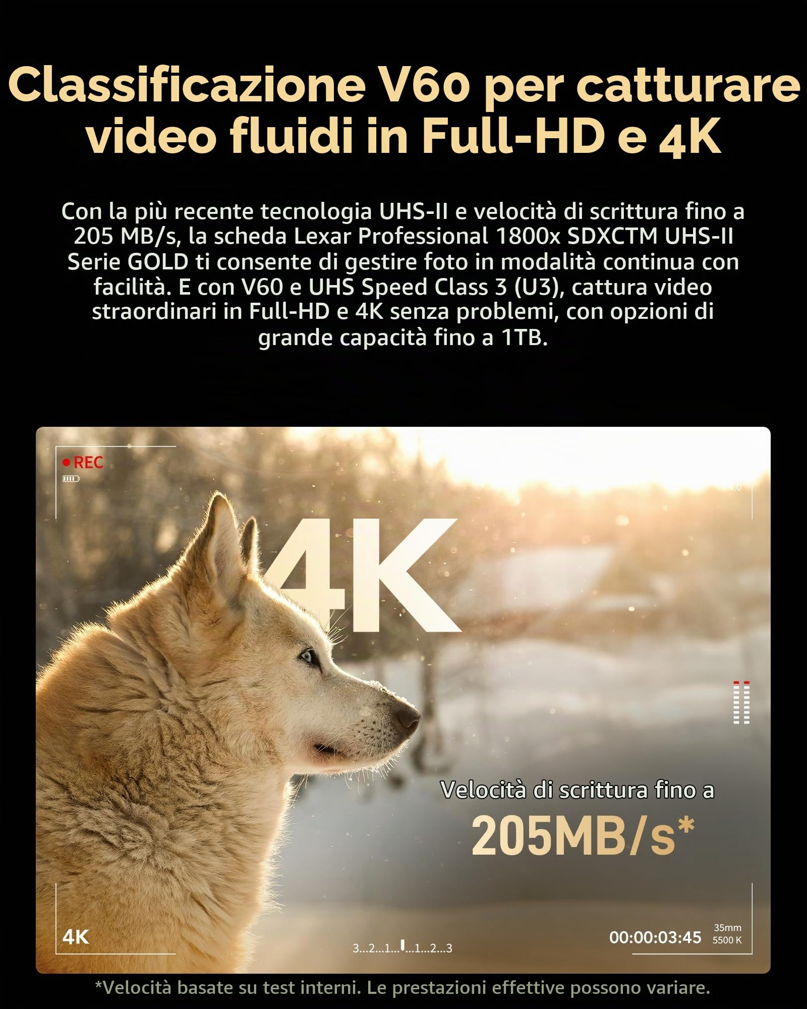 lexar-professional-gold-sdxc-256gb-1800x-uhs-ii-v60-nero image 5