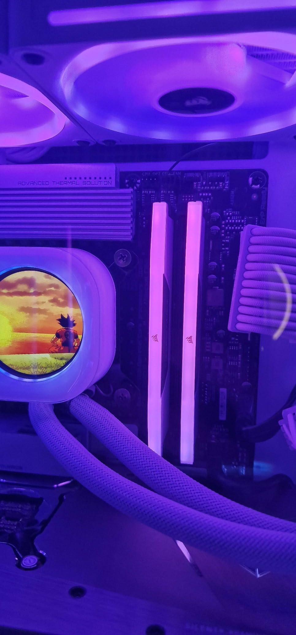 Perfetta per la mia prima build