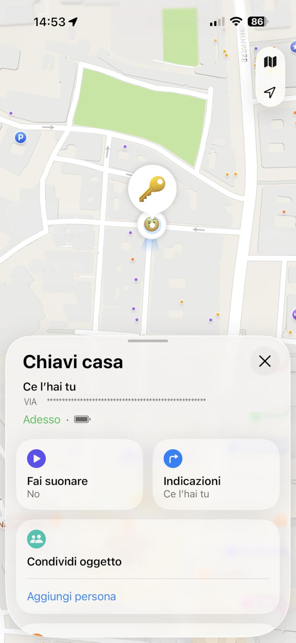 Funzionano ma solo Apple